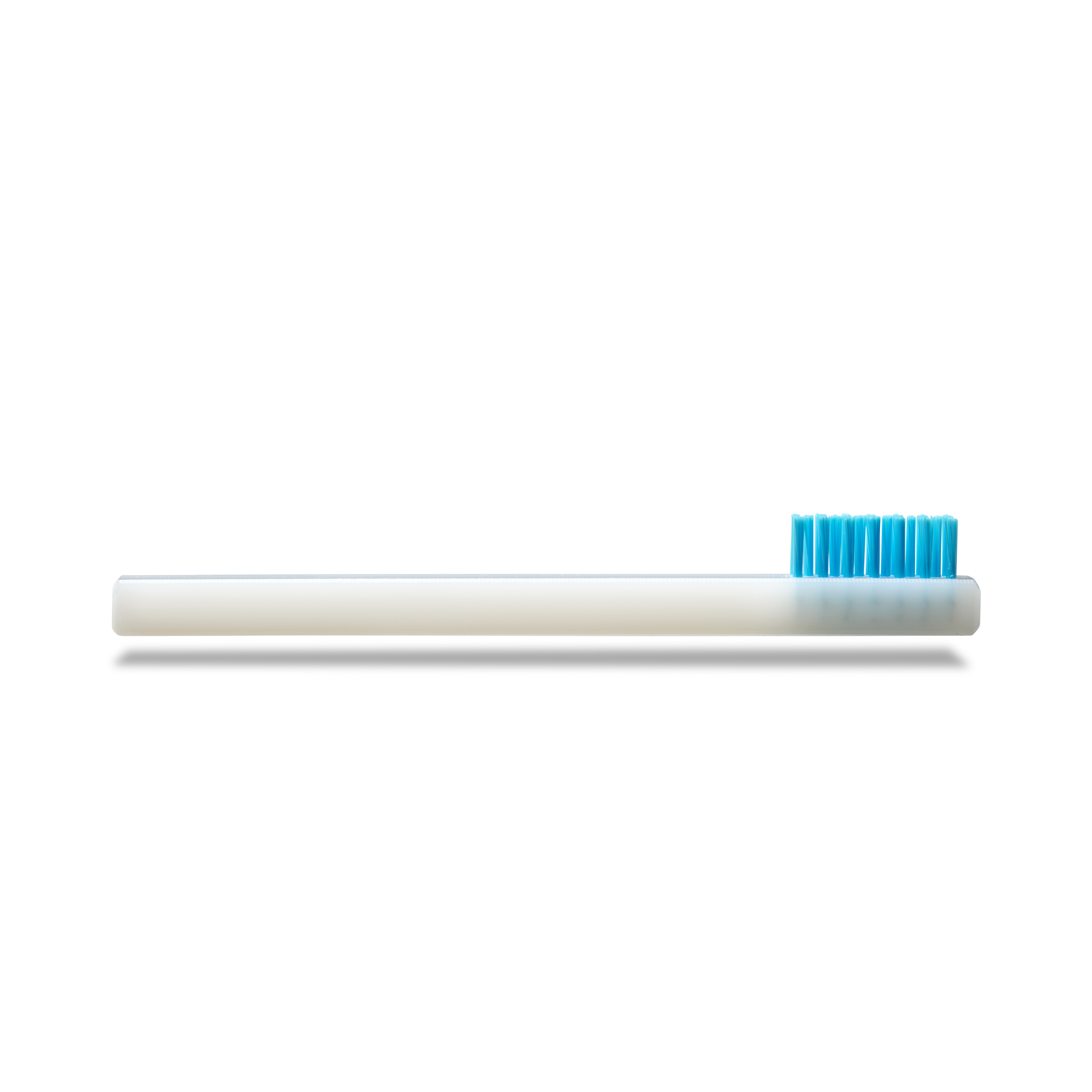 Small blue cleaning brush Image